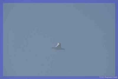 2010KSCice_sts131-8.jpg