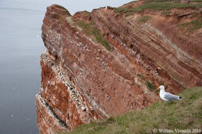 Helgoland