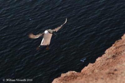 g3/86/828186/3/123668448.fRhxf8hx.jpg
