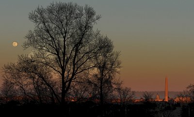 SLC_0675_3.jpg