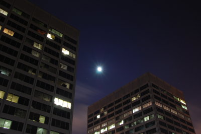 DSC_0279.JPG