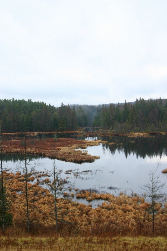 October Morning