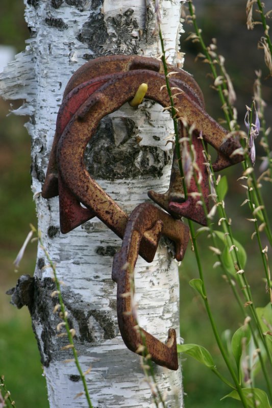 Hung Up