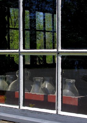 Bottles Behind Glass
