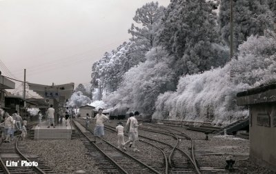 DSC_2458.jpg