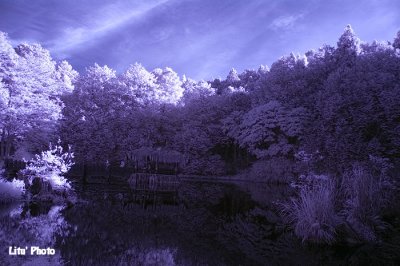 DSC_2594.jpg