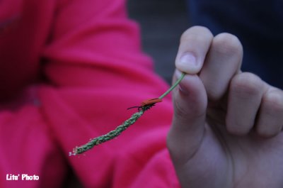 DSC_4314.jpg
