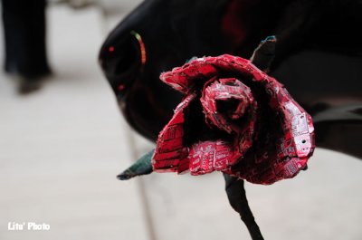 DSC_2987.jpg