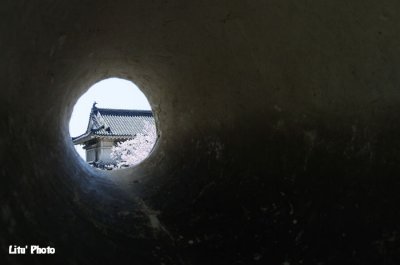 DSC_8789.jpg