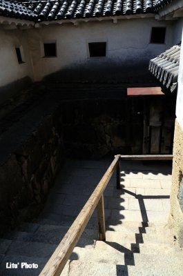 DSC_8961.jpg