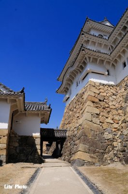 DSC_8963.jpg