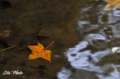 DSC_8617.jpg