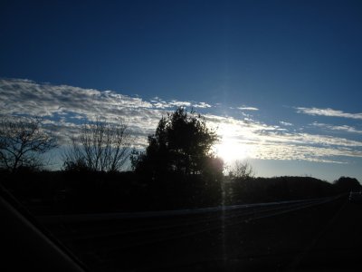 IMG_0775.jpg