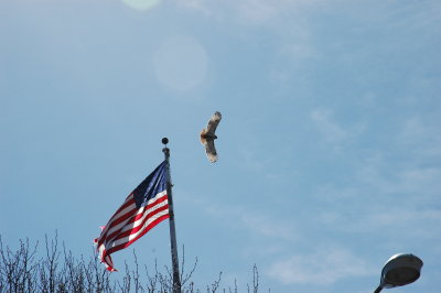 DSC_0045.JPG