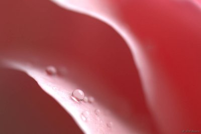 080607-040