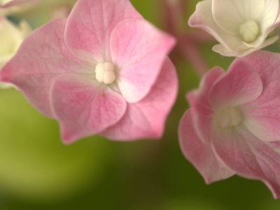 P6021676