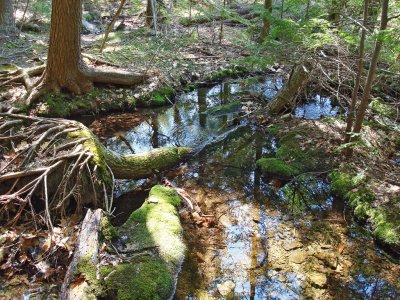Crystal clear stream