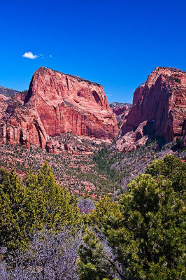 Zion Kolob Canyon 004