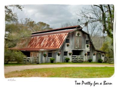 To Pretty for a Barn