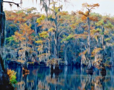 Caddo 4