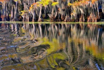 Caddo Lake - Uncertain, Tx