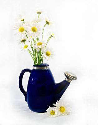 blue vase daisies 11x14.jpg