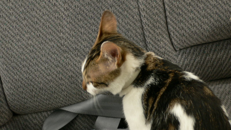 P1020029.JPG