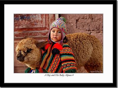 A Boy and His Baby Alpaca 4