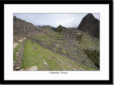 Cultivation Terraces