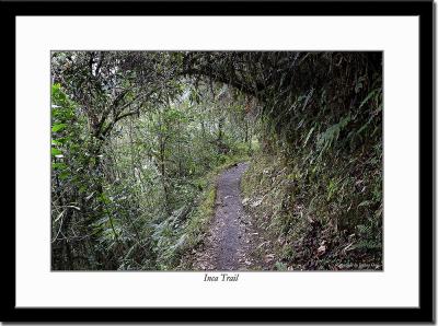 One of Several Inca Trails Leading to Machu Picchu