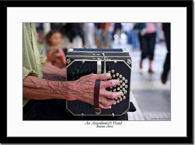 The Hand of an Accordionist