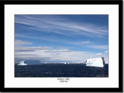 Wide Vista of the Iceberg Alley