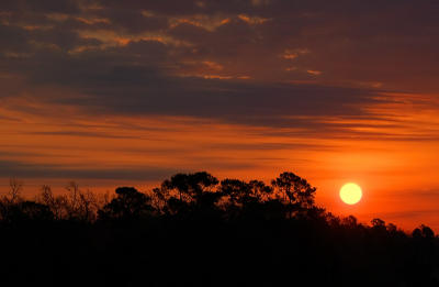 g3/87/19487/3/57146450.030406onthewaytoPatsweddingsunriseREGD50.jpg