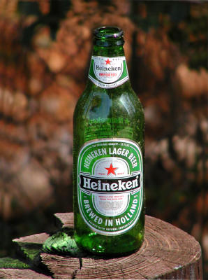 03 13 06 beer bottle in woods, olyuz.jpg