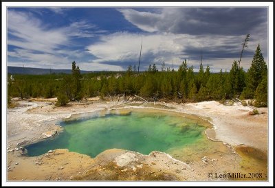 Norris Gyser Basin YNP