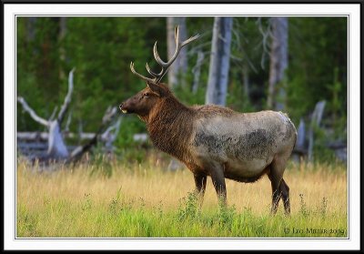 PC-_J3W1749CC framed.jpg