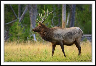PC-_J3W1755CC framed.jpg