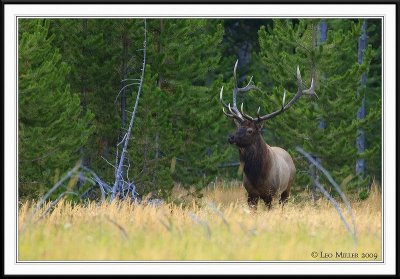 PC-_J3W1767CC framed.jpg