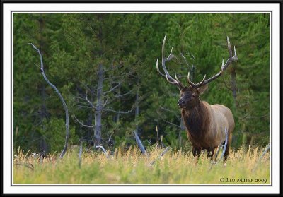 PC-_J3W1776CC framed.jpg
