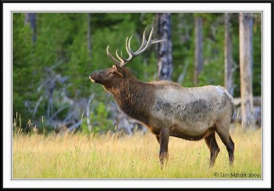 PC-_J3W1784CC framed.jpg