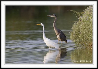 PC-_J3W0315CC framed.jpg
