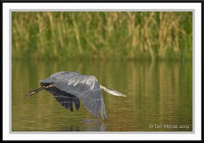 PC-_J3W0412CC framed.jpg