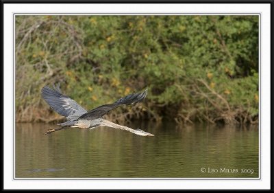 PC-_J3W0413CC framed.jpg