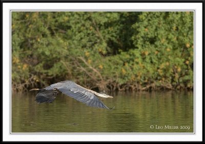 PC-_J3W0414CC framed.jpg