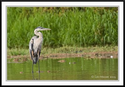 PC-_J3W0452CC framed.jpg