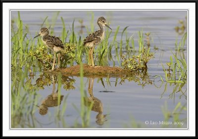 PC-_J3W0504CC framed.jpg