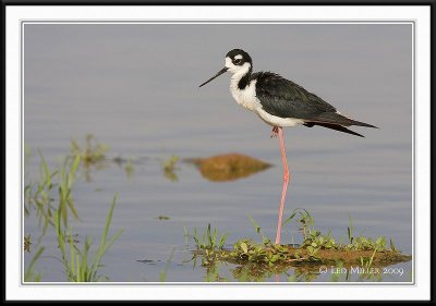 PC-_J3W0522CC framed.jpg