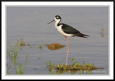 PC-_J3W0528CC framed.jpg