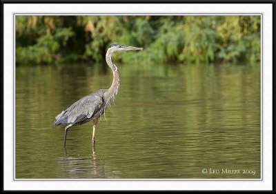 PC-_J3W0530CC framed.jpg