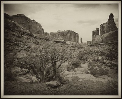 PC-_J3W8803 8x10 old sepia.jpg